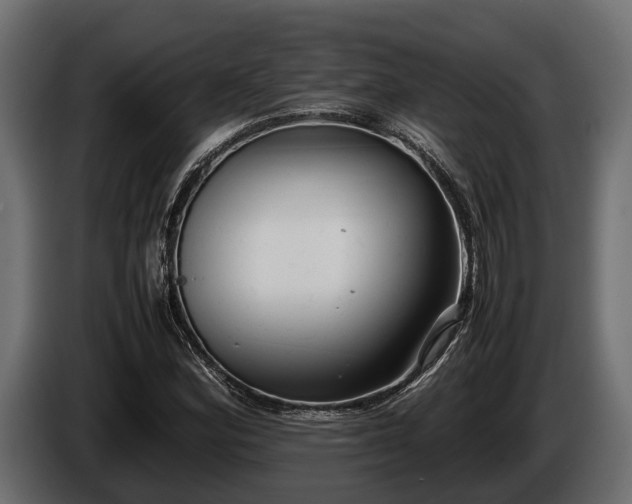 X0000085781164200703231239