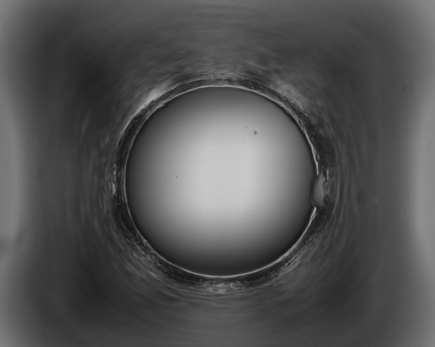 X0000085781165200703231239