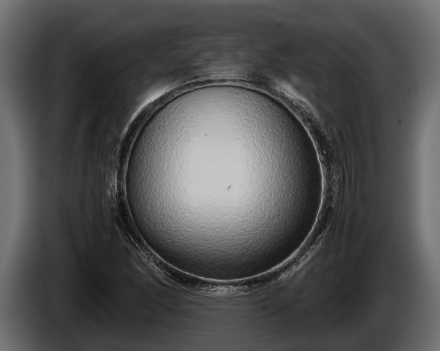 X0000085781166200703231239