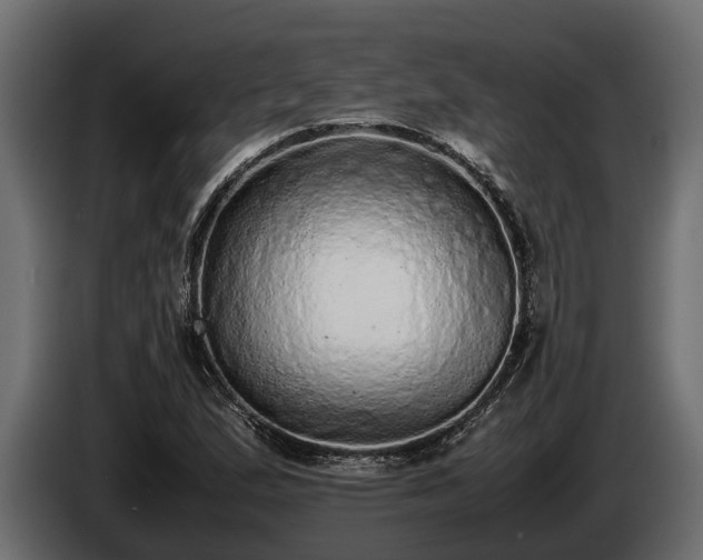 X0000085781167200703231239