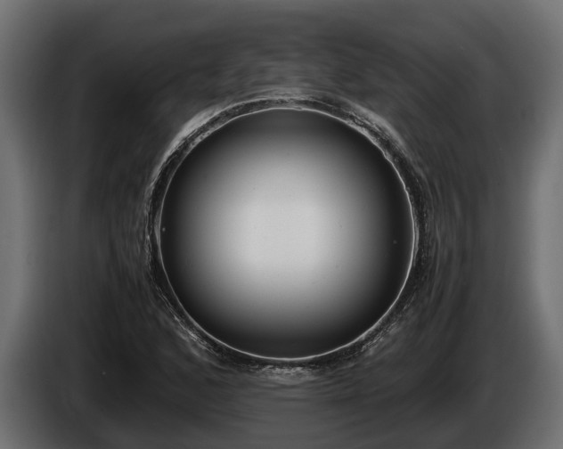 X0000085781168200703231239