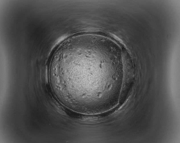 X0000085781171200703231239