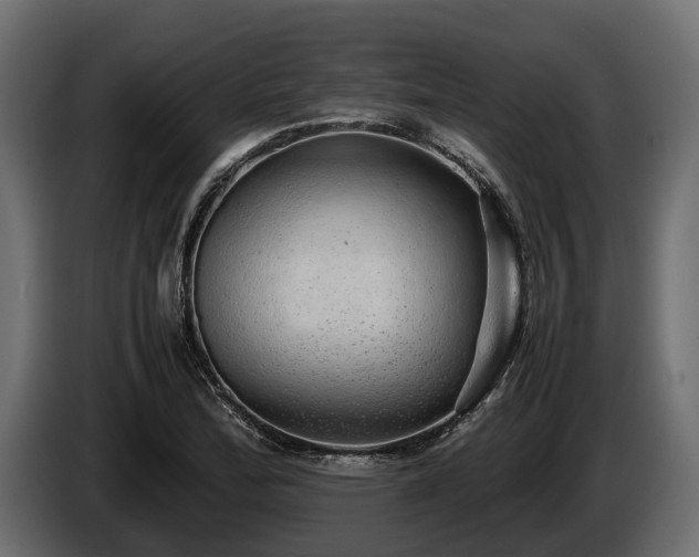 X0000085781172200703231239