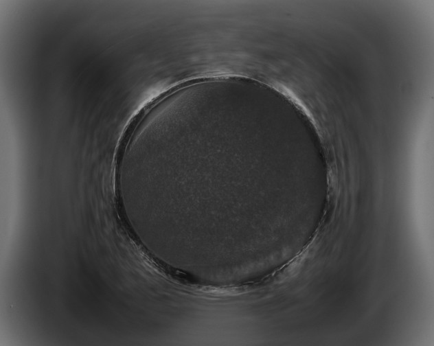 X0000085781173200703231239