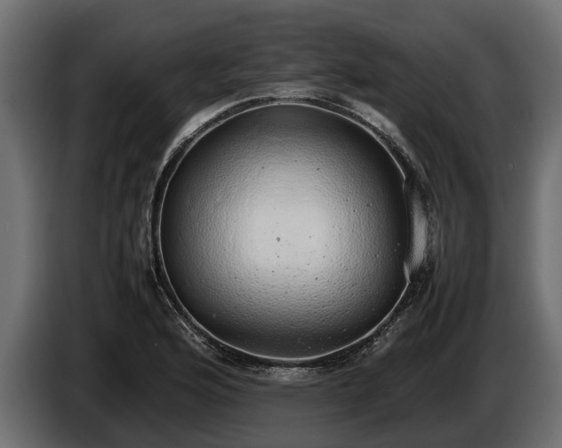 X0000085781176200703231239