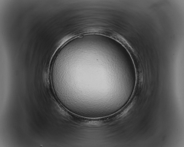 X0000085781178200703231239