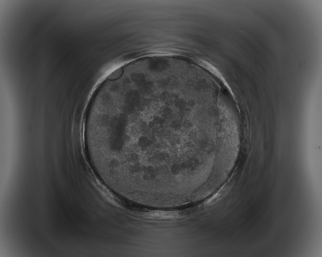 X0000085781179200703231239