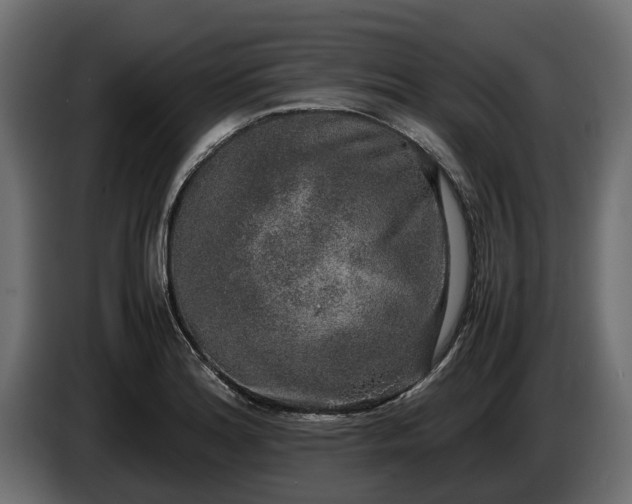 X0000085781180200703231239