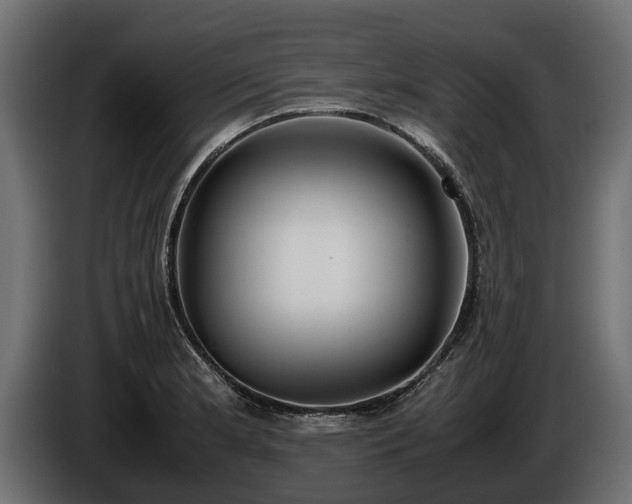 X0000085781181200703231239