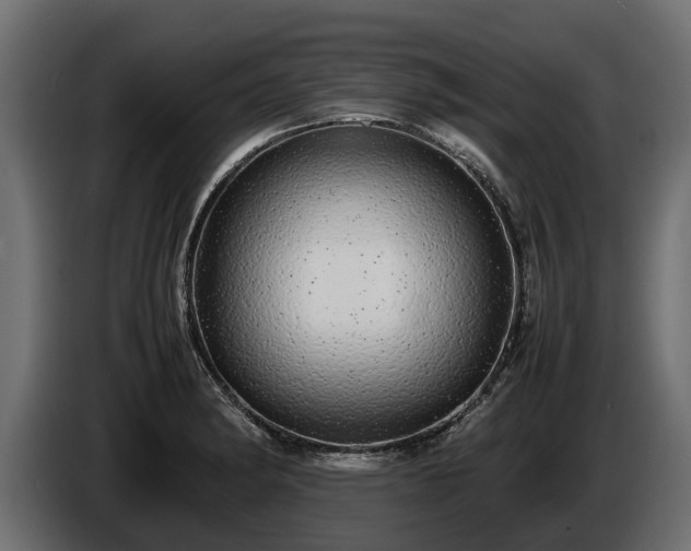 X0000085781182200703231239