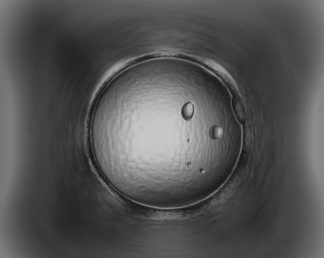 X0000085781183200703231239