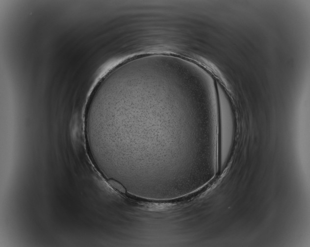 X0000085781184200703231239