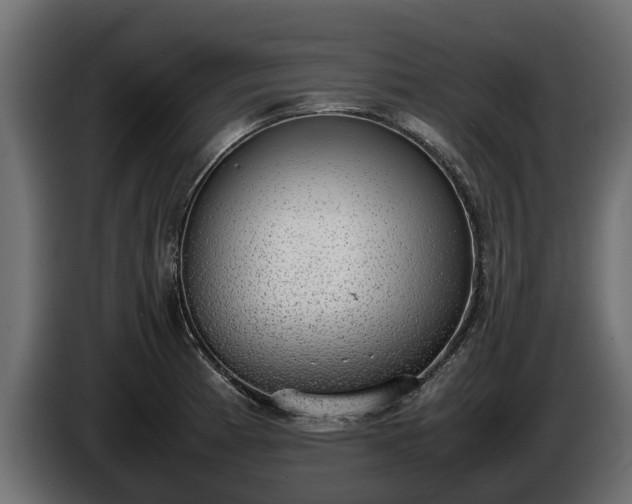 X0000085781185200703231239