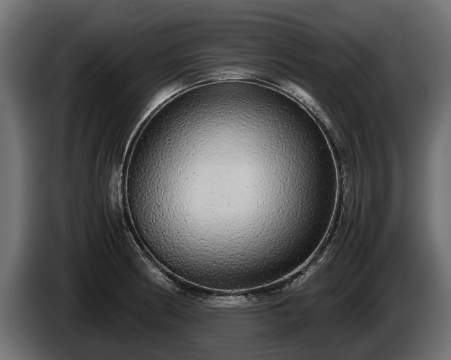 X0000085781186200703231239