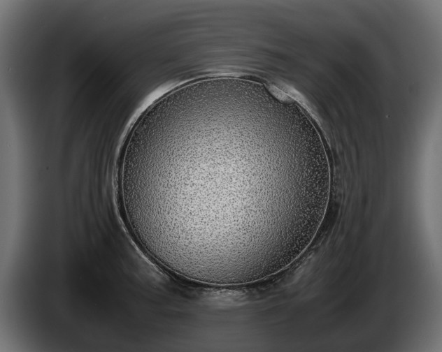 X0000085781187200703231239