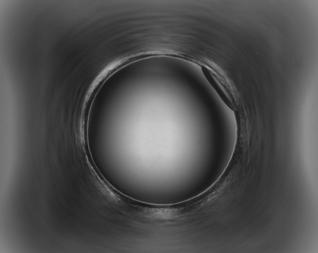 X0000085781188200703231239