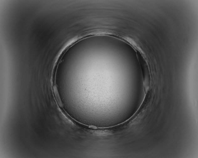 X0000085781189200703231239