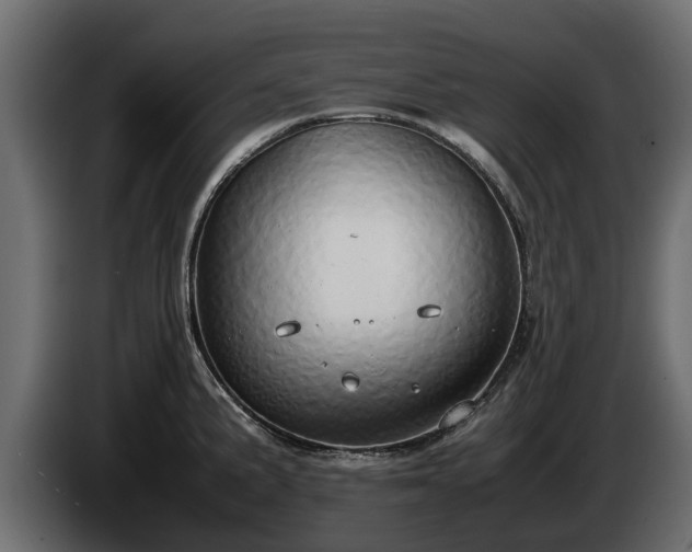 X0000085781191200703231238