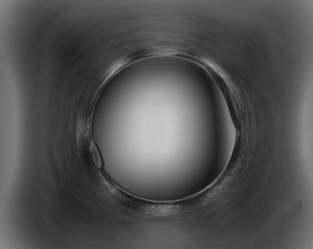 X0000085781193200703231238