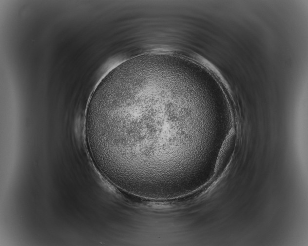 X0000085781194200703231238