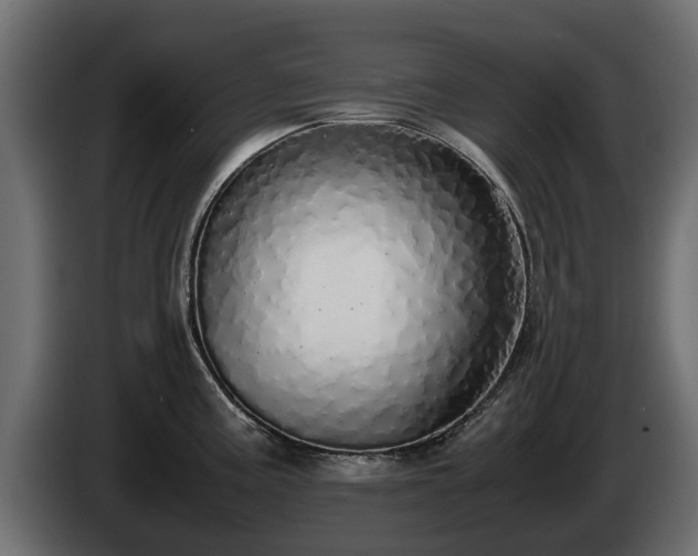 X0000085781195200703231238