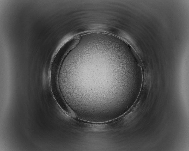 X0000085781196200703231238