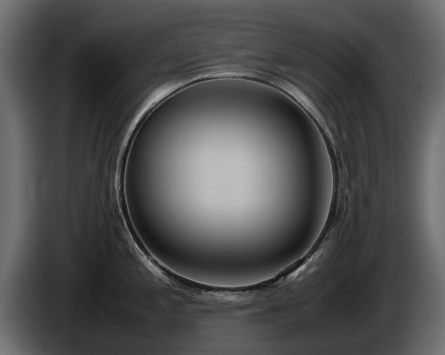 X0000085781197200703231238