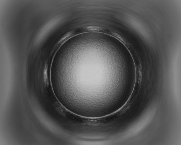 X0000085781198200703231238