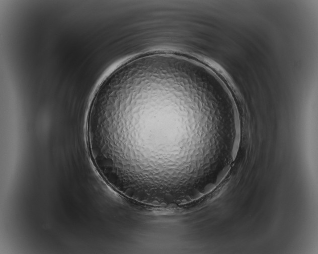 X0000085781199200703231238