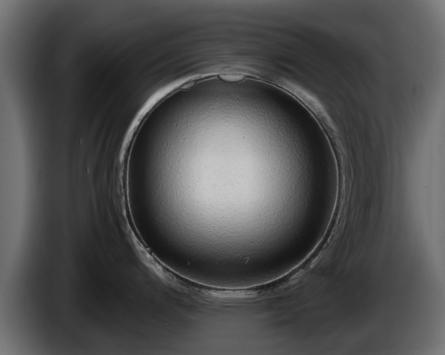 X0000085781200200703231238