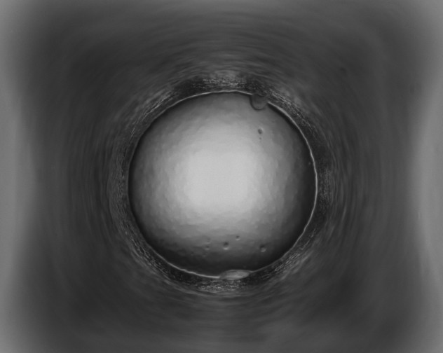 X0000085781201200703231238