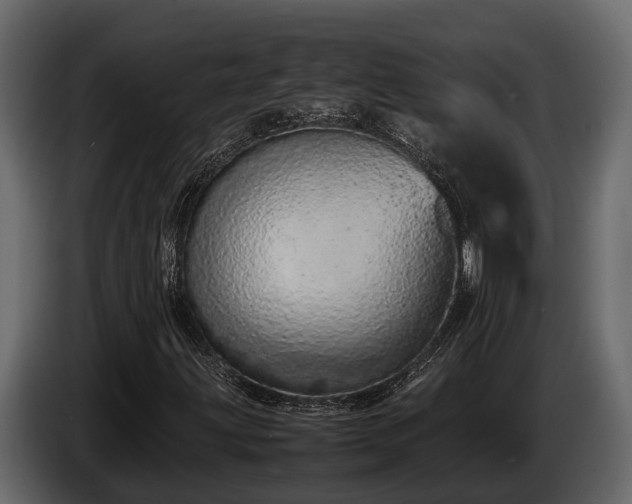 X0000085781203200703231238