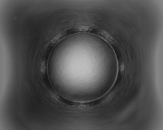 X0000085781204200703231238