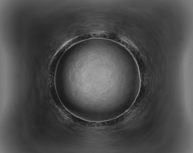 X0000085781208200703231238