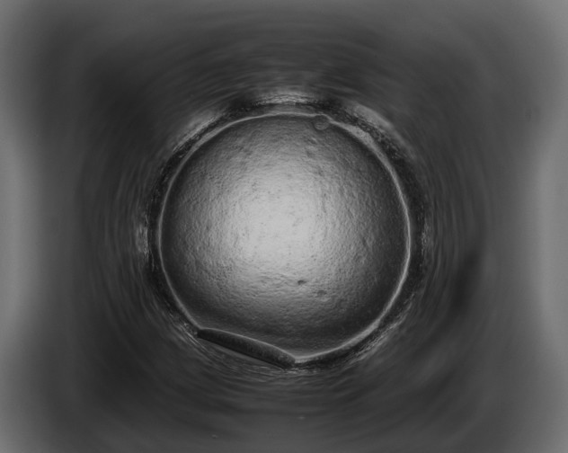 X0000085781209200703231238