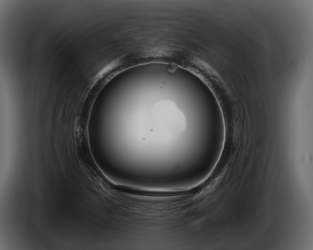 X0000085781210200703231238