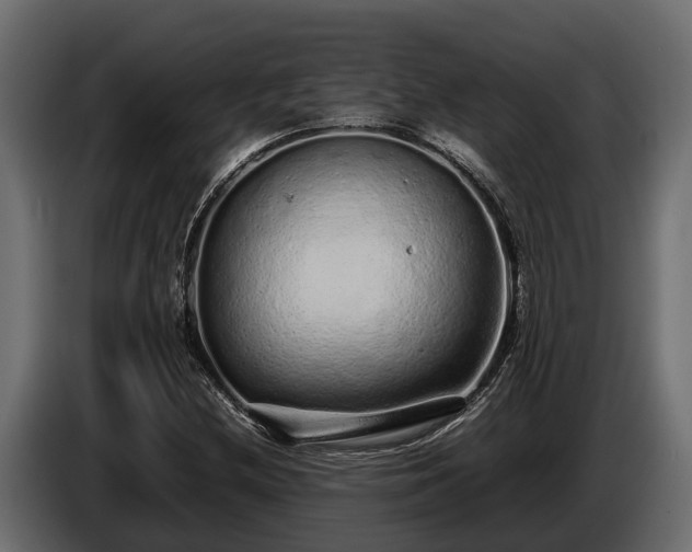 X0000085781212200703231238