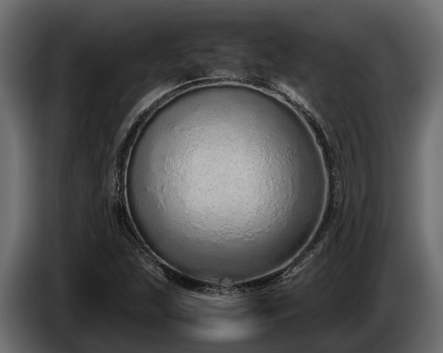 X0000085781215200703231238