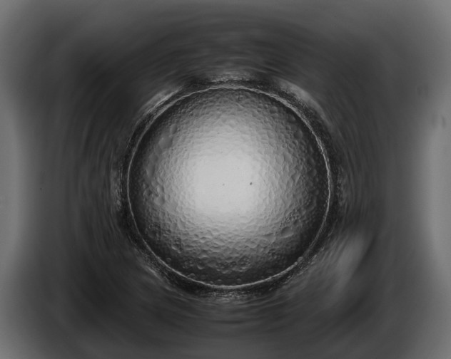 X0000085781217200703231238