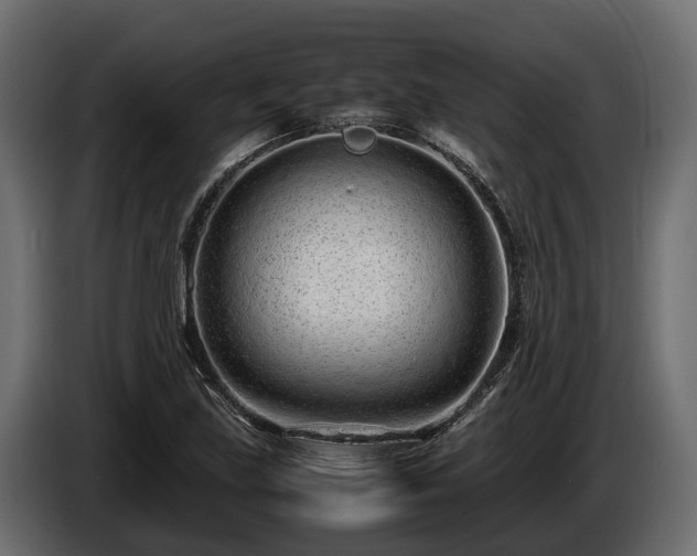 X0000085781219200703231238