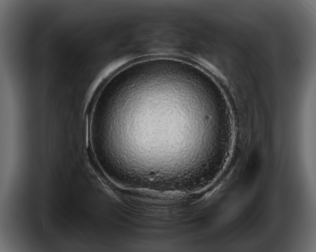 X0000085781223200703231238