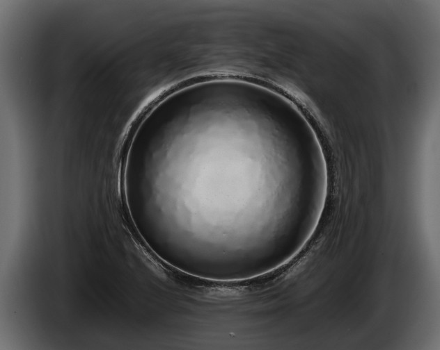 X0000085781224200703231238