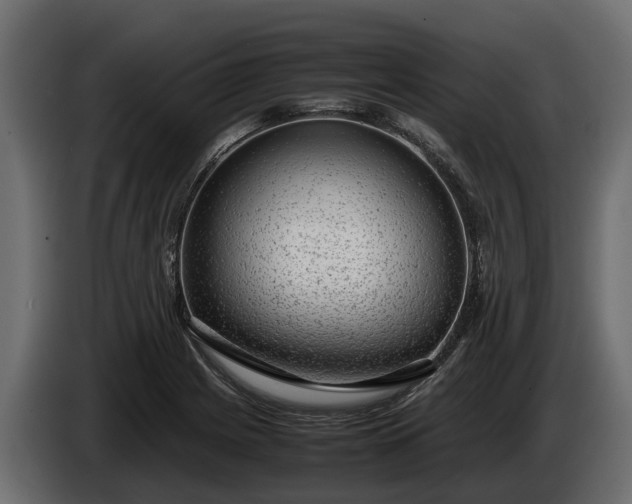 X0000085781225200703231238