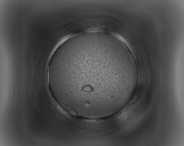 X0000085781227200703231238