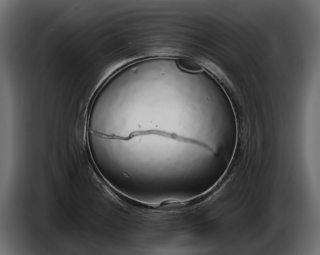 X0000085781228200703231238