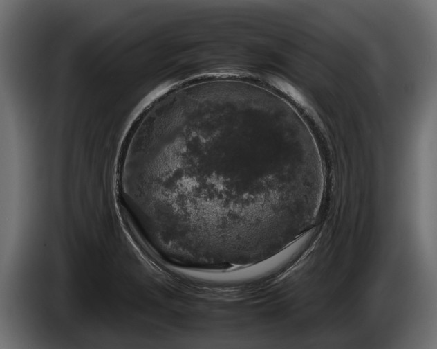 X0000085781229200703231238