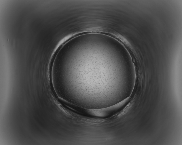 X0000085781230200703231238