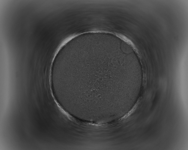 X0000085781231200703231238