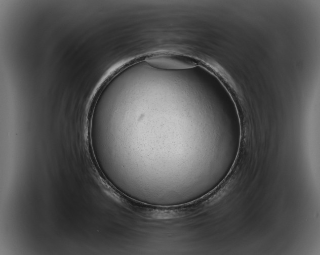 X0000085781232200703231238