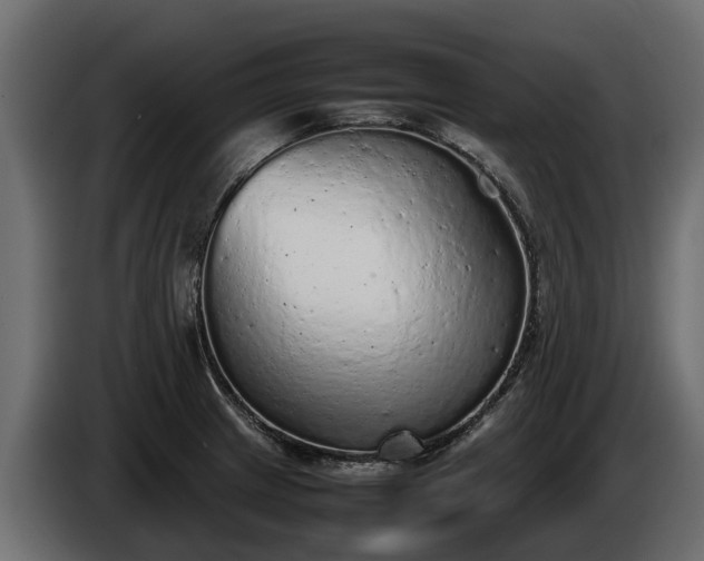 X0000085781233200703231238